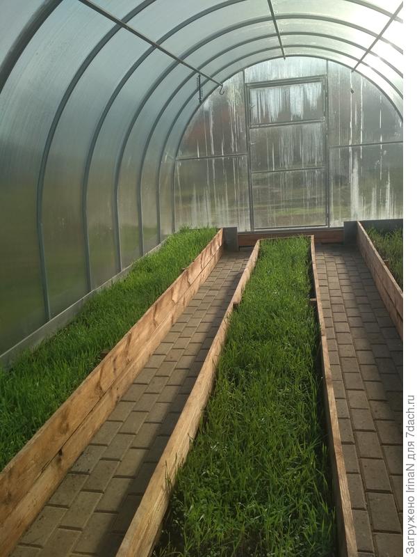 Что будет весной, не знаю, первый год экспериментируют. А 19 октября было так