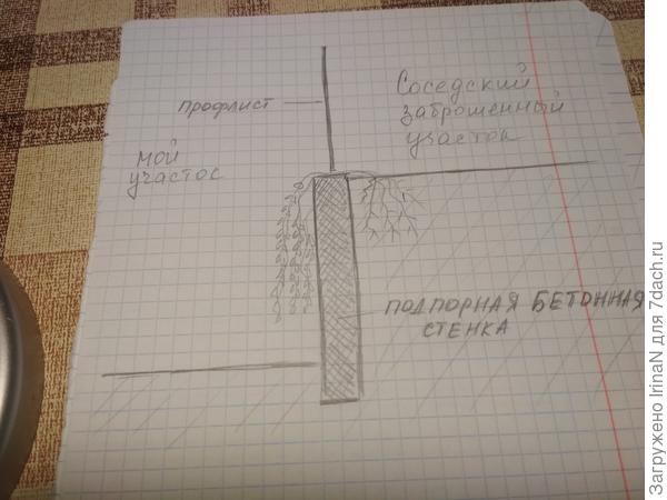 Попыталась изобразить свою мысль на бумаге