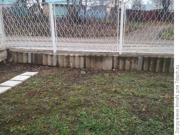 Это практически после укладывания на зиму, ещё не присыпанные, тонкие веточки без листьев практически не видно.