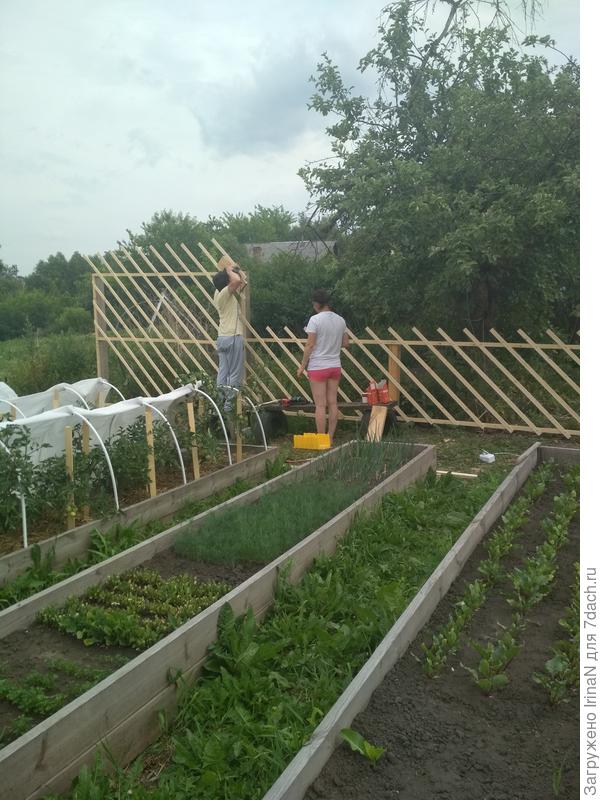 Если матери что-то в голову стукнуло, то с ней лучше не спорить!