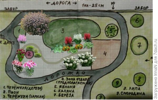 Растения ставила чисто схематически, чтобы просто было понятно куда и что