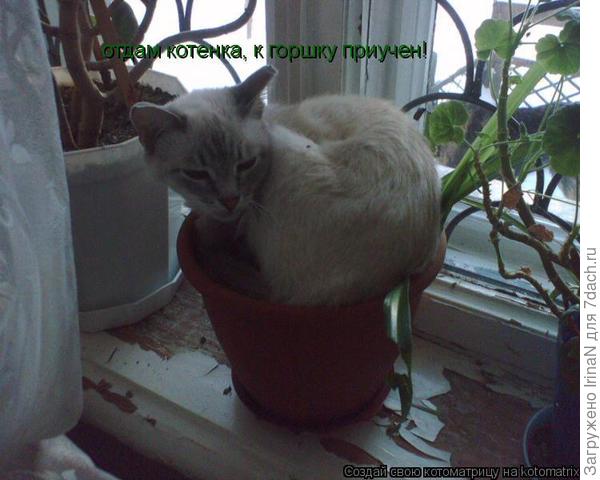 Из интернета