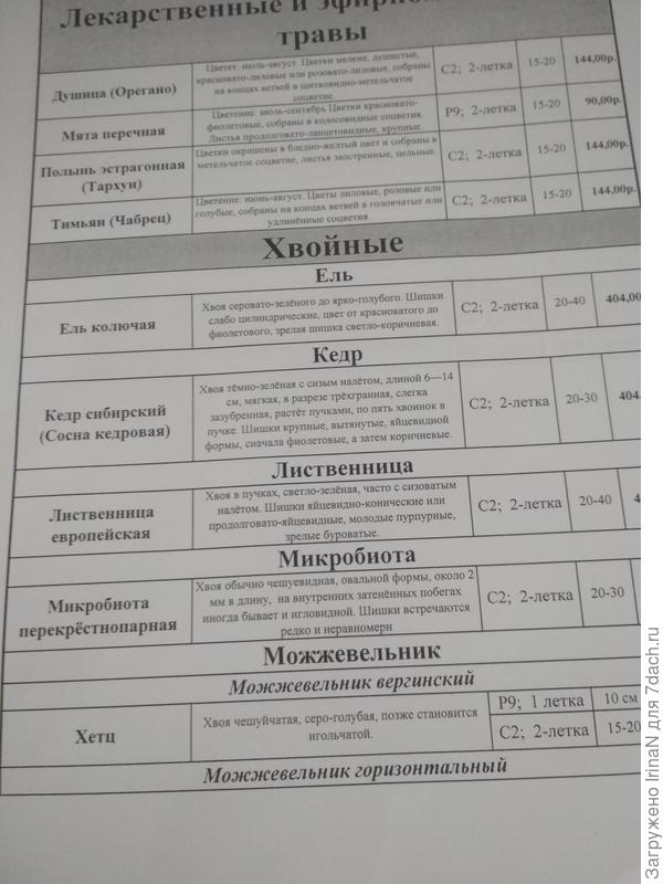 Это по хвойным.