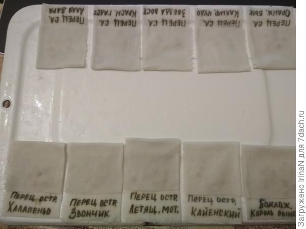 Начало сезона 2019 года!