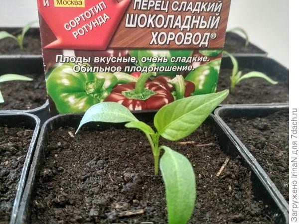 Идем во второй этап!