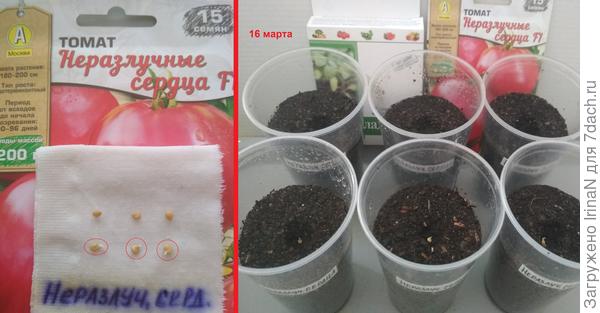 16.03.2019