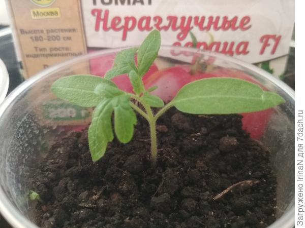 Идем во второй этап!
