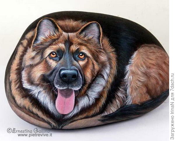 Если такой камушек будет посматривать на входящих в калитку, наверное посторонние люди реже будут заходить!