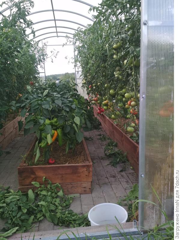 Стрижка только началась!