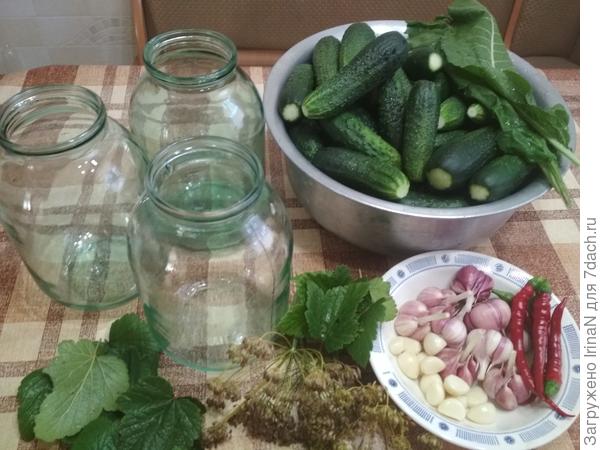 Огурцы, по банкам шагом марш!