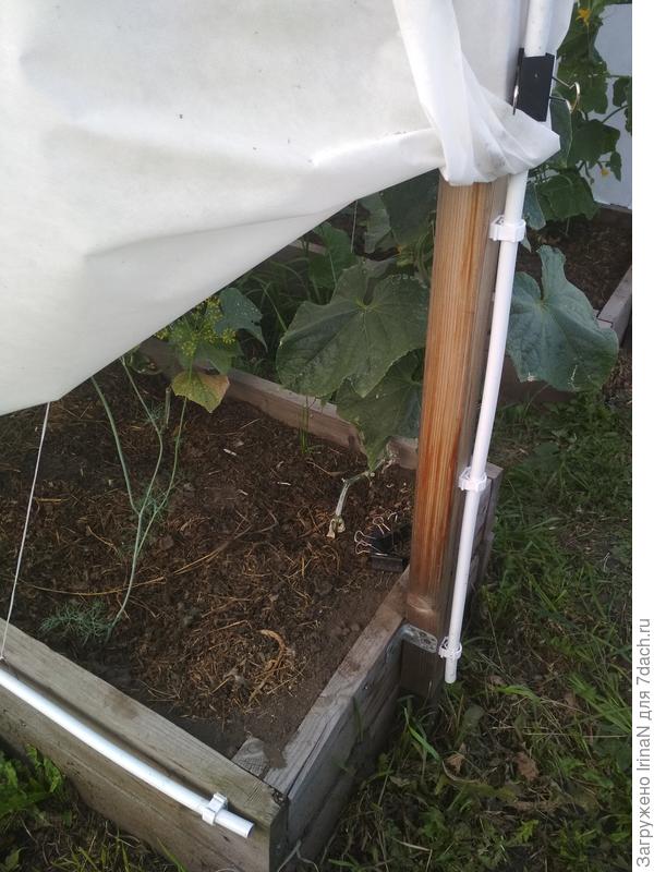 Осталось накрыть тканью.