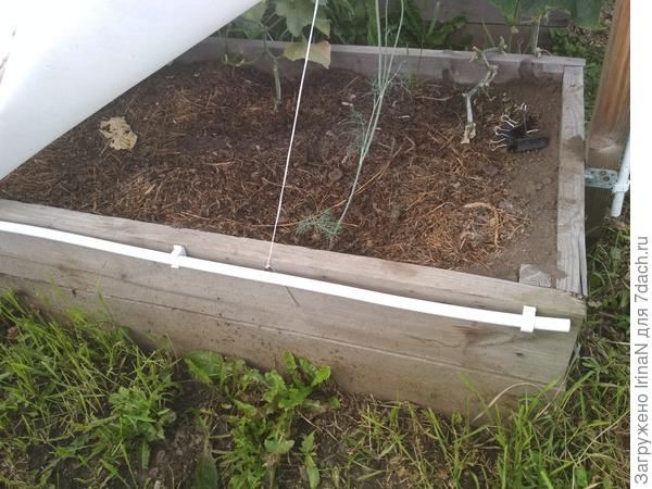 На боковину грядки клипсы прикручиваем через 50 см.