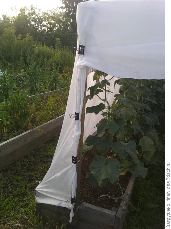 Лучше канцелярских зажимов трудно что-то придумать.