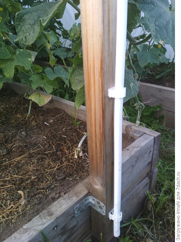 Для вертикального крепления трубу можно прикрепить к стойкам шпалеры.