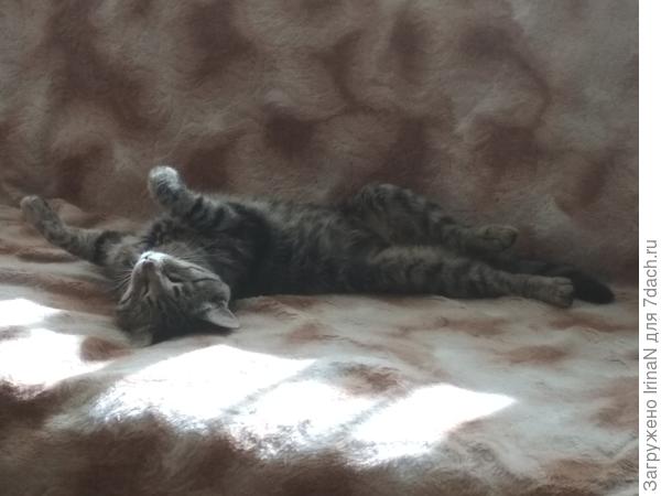 А уж на диване поваляться - это святое!