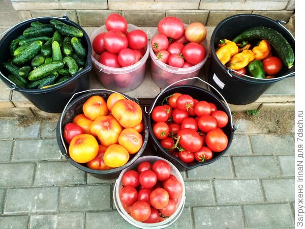 Завтра весь день придется возиться с банками.