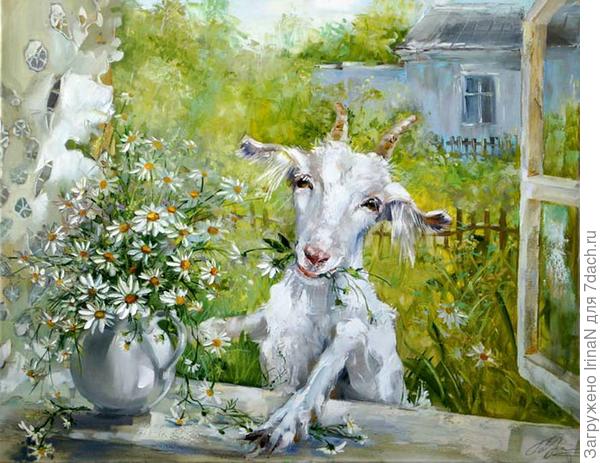 С Днём рождения!