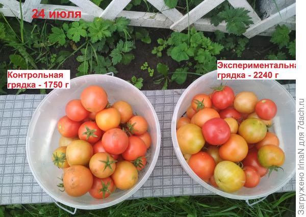 Ещё один сбор.