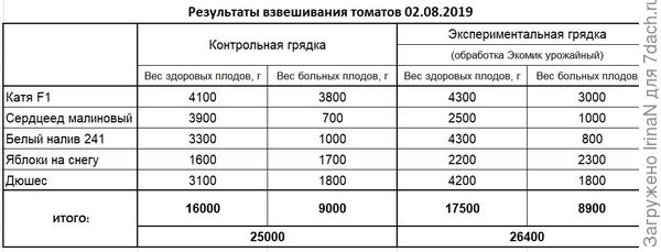 То, что удалось снять с двух грядок 2 августа.