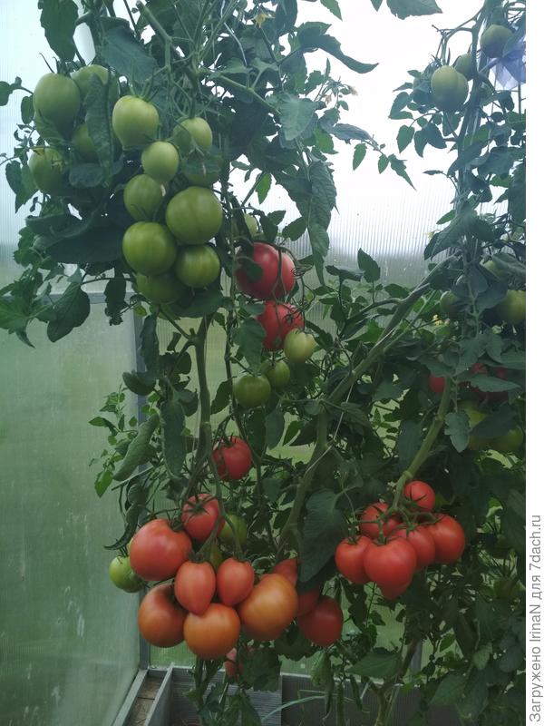 Да, наверно круглых больше