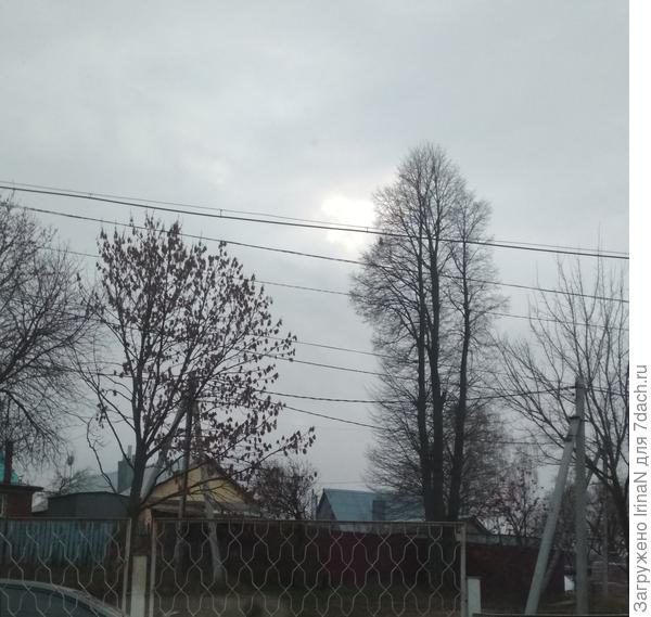 А из нашего окошка неба серого немножко...