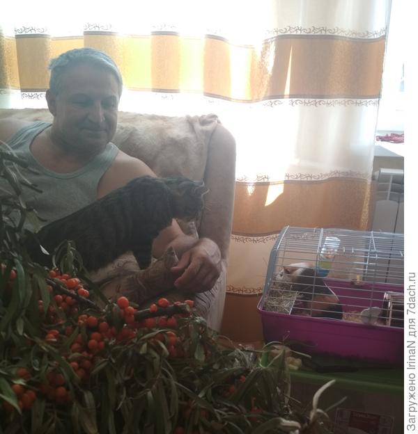 Знаешь, Витас, котам однозначно лучше живётся! Их в клетку не сажают, на ручки берут!