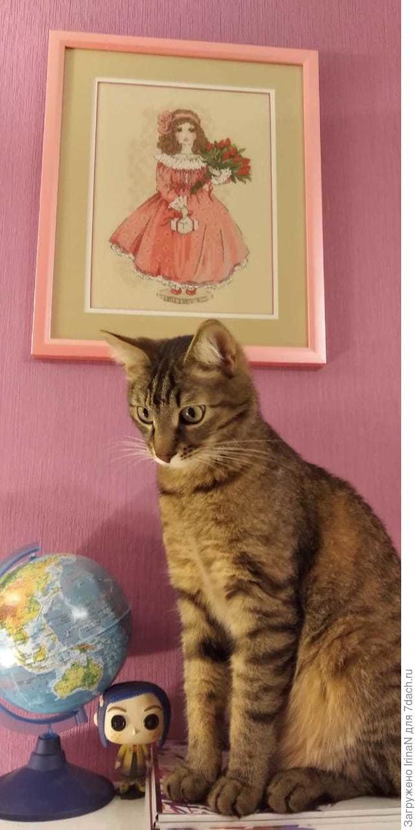 И где тут на глобусе страна Беларусь? Кот Калям домашний, и из Москвы выезжал лишь несколько раз. Поэтому очень внимательно надо продумать маршрут!