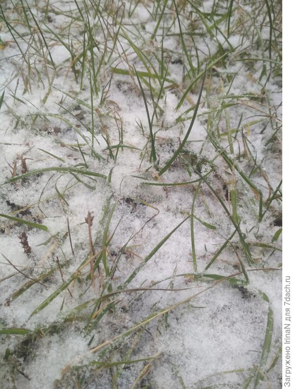 Неужели дождались!