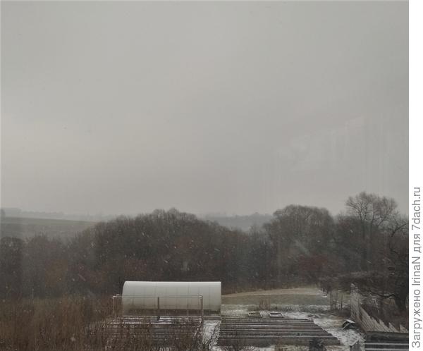 Хоть бы немножко грядки припорошило!