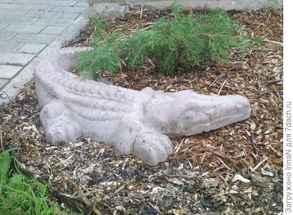 А это то, что получилось от яблоневых веток.