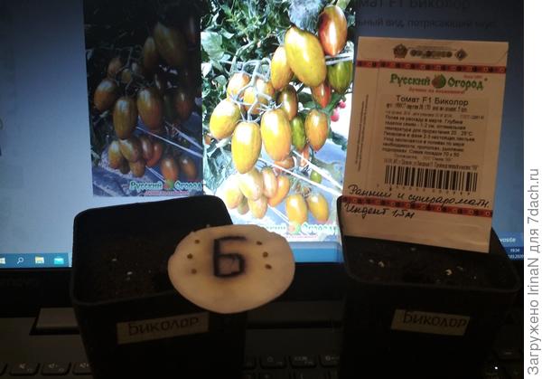 Ну что делать, если нет красивого пакетика!