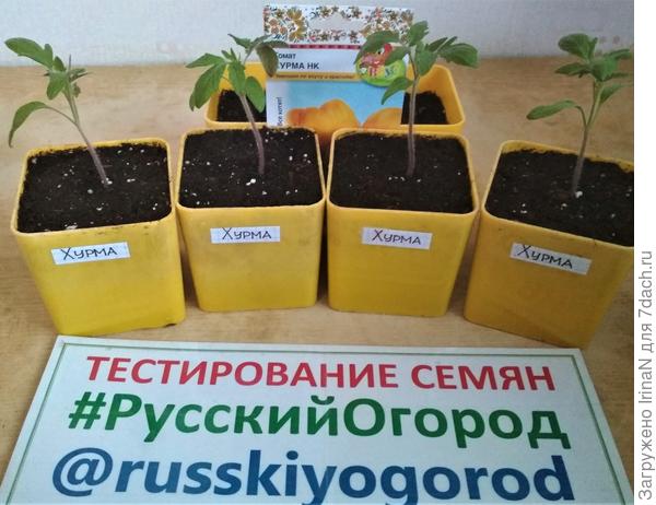 5 апреля