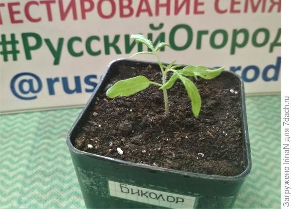 01 мая
