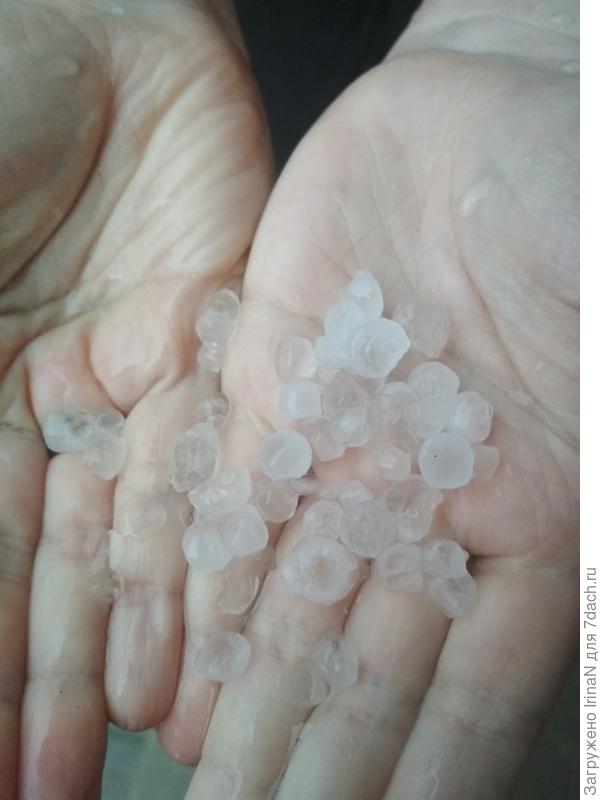 Летний подарок