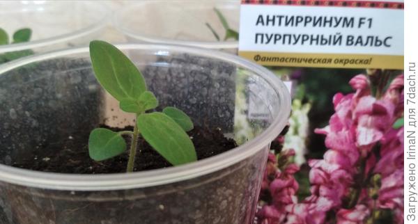 20 апреля