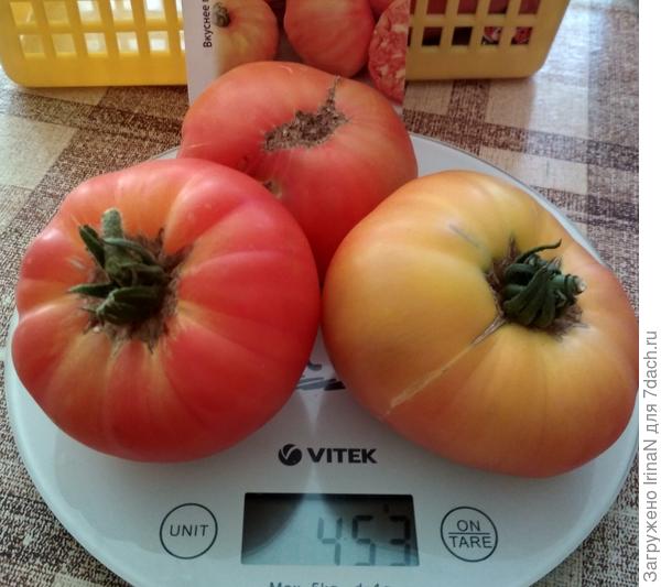 28 июля