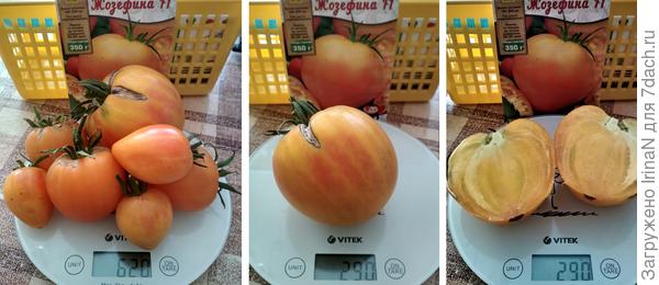 28 июля