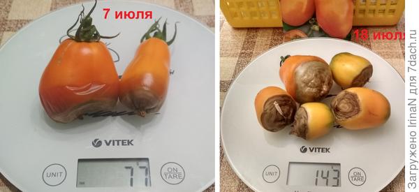 7 июля