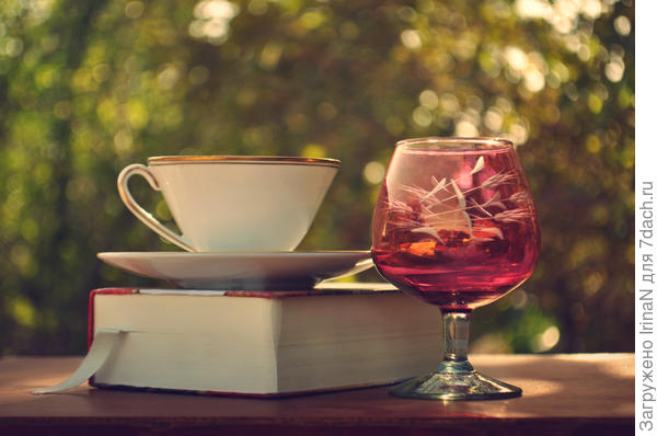 Пока погода позволяет, продолжайте "поливать" свой чудесный сад!