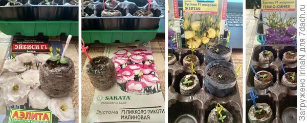 Вот такие мы сегодня!