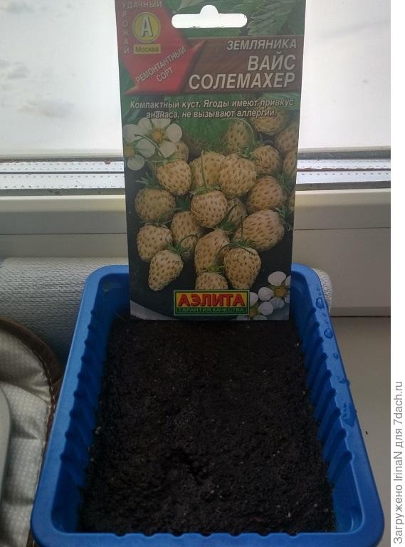 А за окном зима и снег!