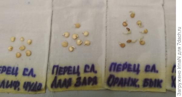 Фокта старая, но суть та же