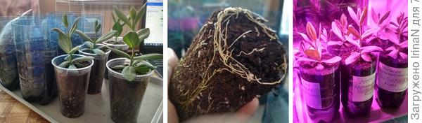 Переезжаем!