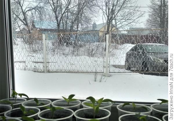 На фото не видно, то снег валит огромными хлопьями