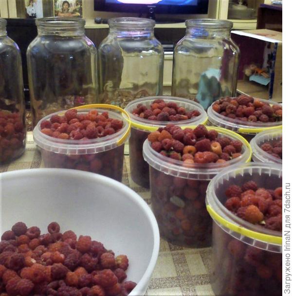 Быстро собирала, а потом под интересный фильм перебирала малинку!