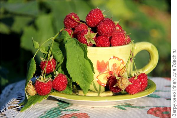 Ты у нас ягодка опять! ;)