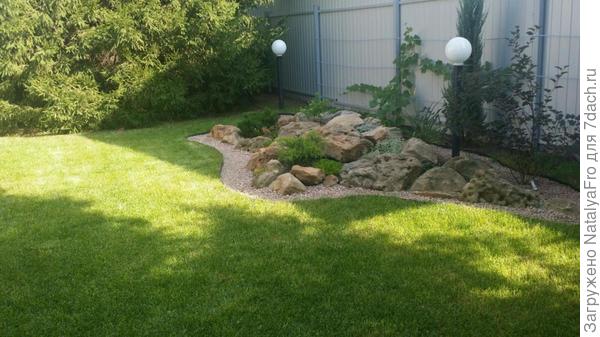 из инета. У зеленой изгороди!