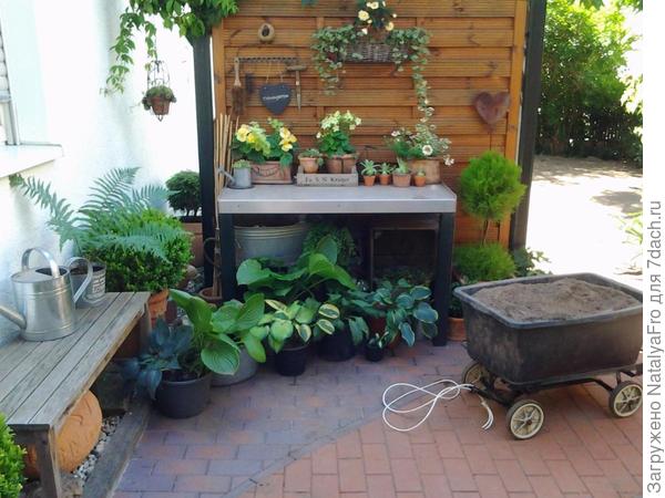 фото из инета