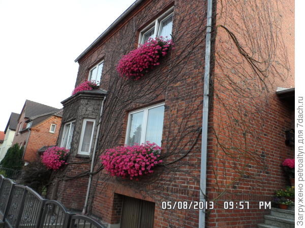 это меня просто поразило