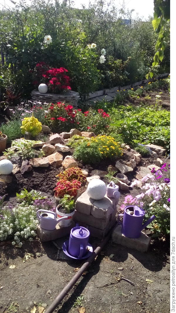 вот такой вид